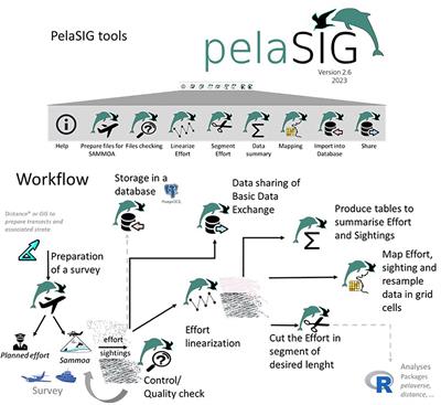 PelaSIG, a QGIS plugin for marine megafauna census: application to the aerial ACCOBAMS Survey Initiative dataset